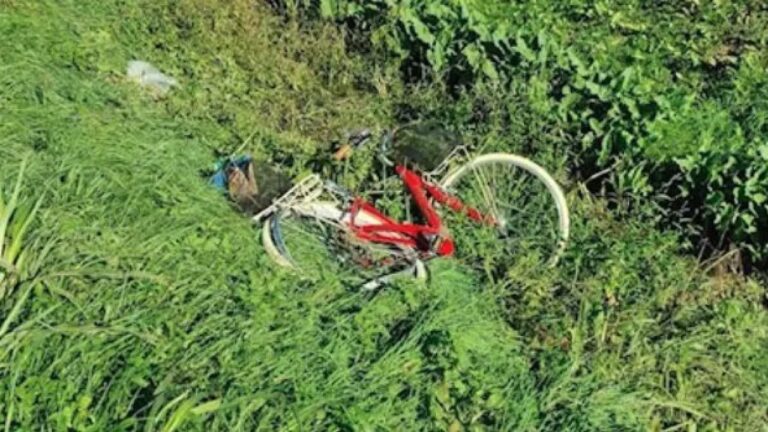 Udine Parroco Investe Ciclista Che Muore L Inserto