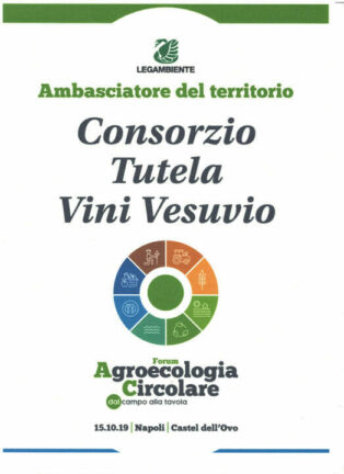 Legambiente: il Consorzio tutela vini Vesuvio “Ambasciatore del territorio”