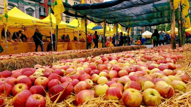 Annurca Fest: la regina delle mele nel cuore di Napoli