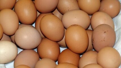 Sfida un amico a chi mangia più uova: dopo averne mangiate 42 si ritrova accasciato al suolo