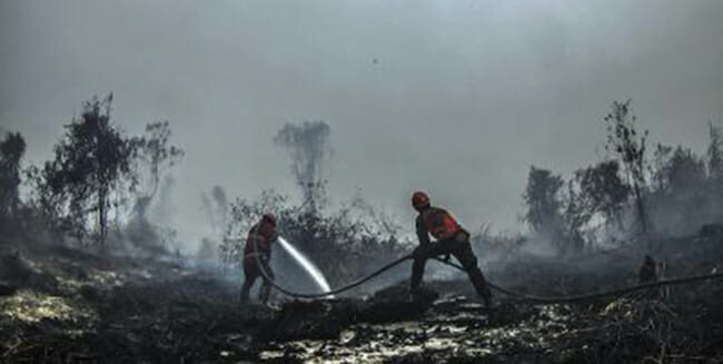 Indonesia: incendi, danni per 5,2 miliardi di dollari, secondo un rapporto della Banca Mondiale