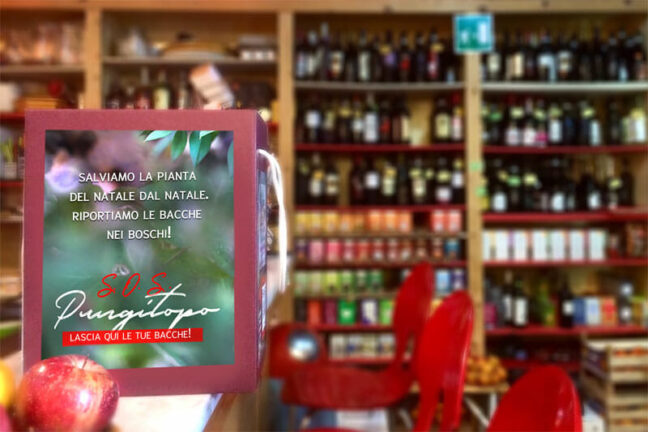 Sannio: s. o. s. pungitopo