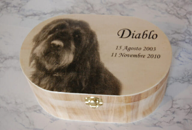 Liguria, ammessa sepoltura animali col padrone