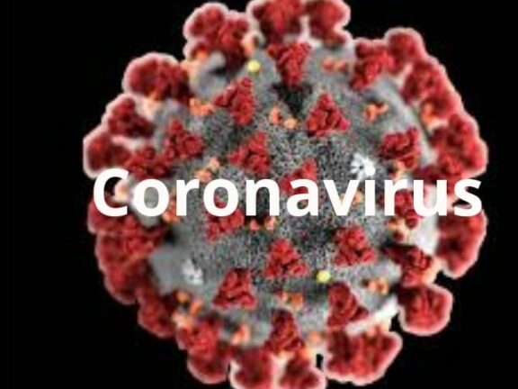 Coronavirus e perdita dell’olfatto, l’ipotesi è che colpisca il cervello