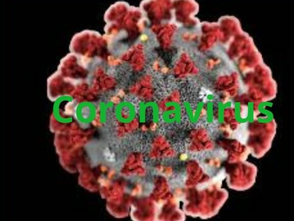 Veneto coronavirus: i casi di contagio salgono a 98