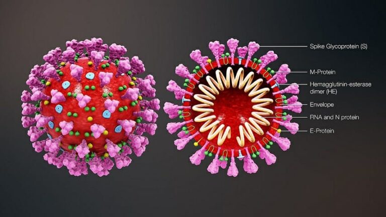Coronavirus Campania: i dati di oggi domenica 12 settembre