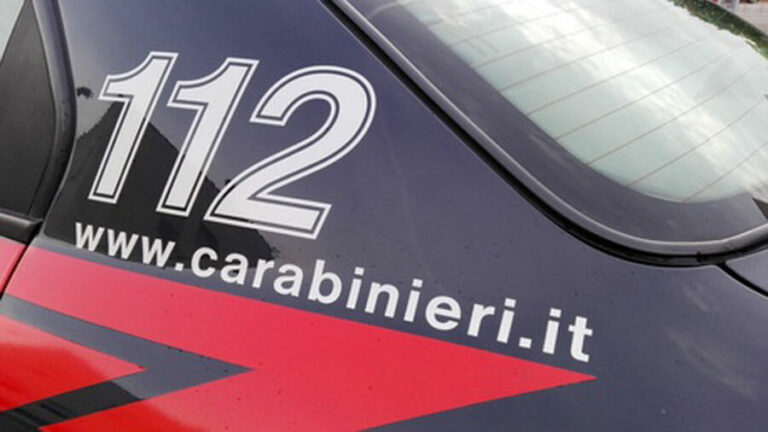 ‘Ndrangheta: favorivano latitanza boss, 14 arresti