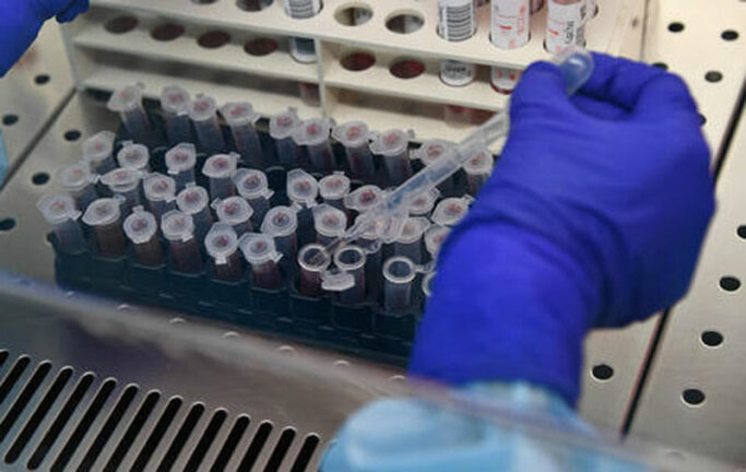 Ceriscioli, zero positivi Marche in 24ore