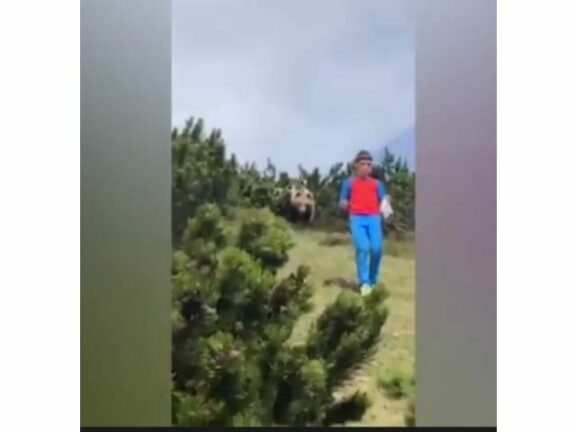 L’orso esce dai cespugli ma il bimbo non perde la calma: è salvo