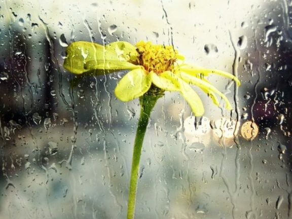 Meteo: crollo delle temperature fino a 10°C per almeno 3 giorni. Ecco quando torna il caldo