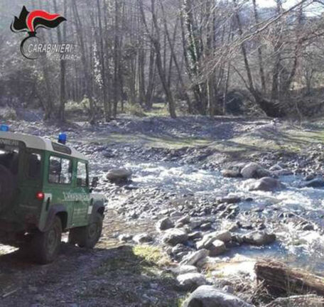 Disperso in Parco Aspromonte, ritrovato da Carabinieri forestali