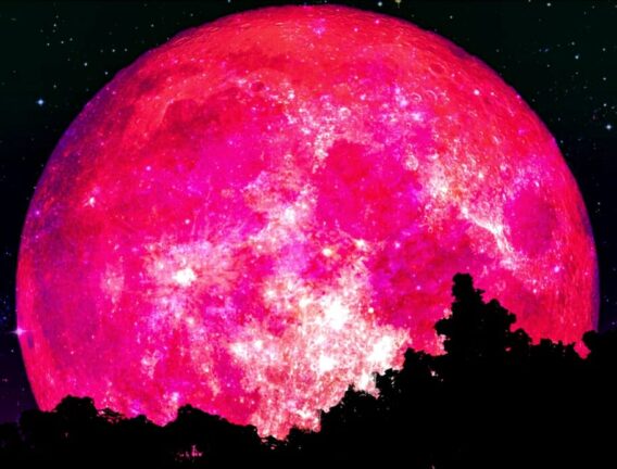 Spettacolo nel cielo: in arrivo la Luna di fragola e lo sciame di stelle cadenti