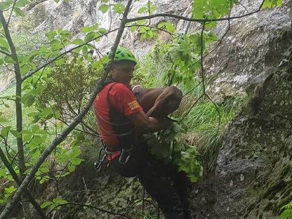Soccorso alpino salva cani, erano dispersi da una settimana
