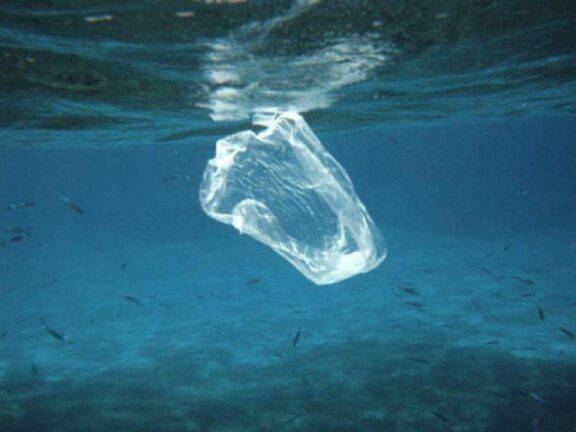 WWF: Ogni anno 570 mila tonnellate di plastica nel Mediterraneo