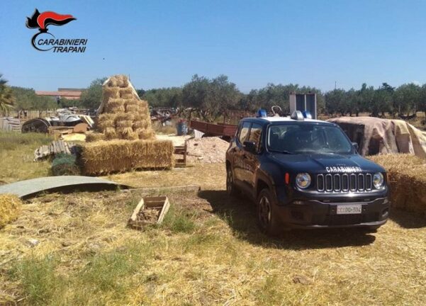 Locogrande (Tp), carabinieri scoprono una discarica abusiva: 3 denunciati