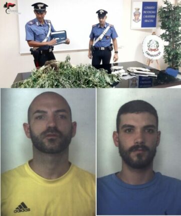 Siracusa: due fratelli arrestati per coltivazione e possesso di stupefacenti