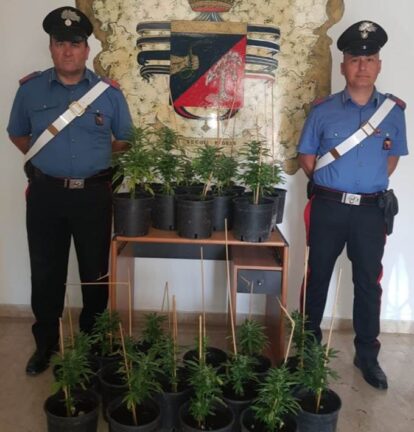 Marsala arrestato pregiudicato per coltivazione di Marijuana