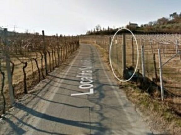 Verona: 22enne si sporge dal finestrino, urta la testa e muore