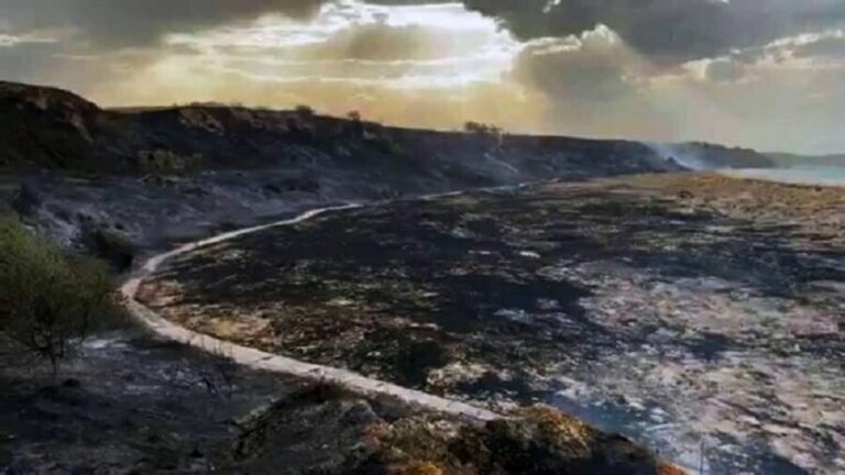 Abruzzo, incendi, parte Riserva Punta Aderci distrutta