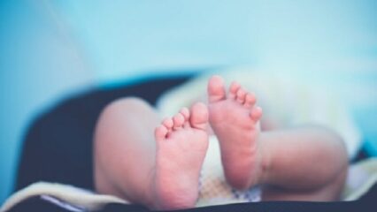 Anno 2026: i nuovi ingressi nel mondo