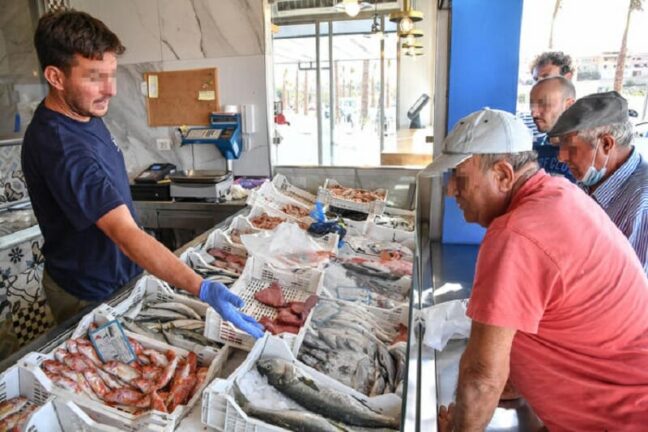 Ri-Pescato, pesce illegale diventa cibo per enti caritatevoli