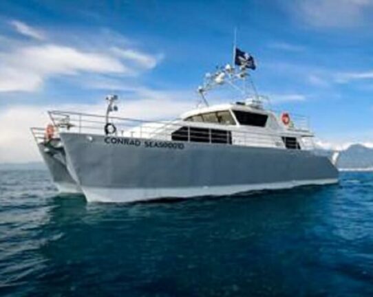 Sea Shepherd: “Minacce di morte ai nostri volontari in Sicilia”