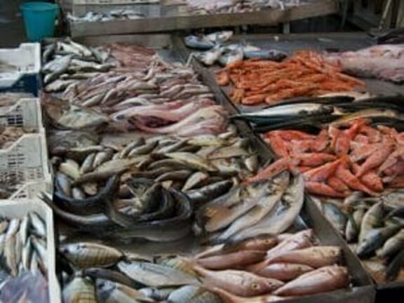 Sequestrate 7 tonnellate di pesce surgelato scaduto dal 2015