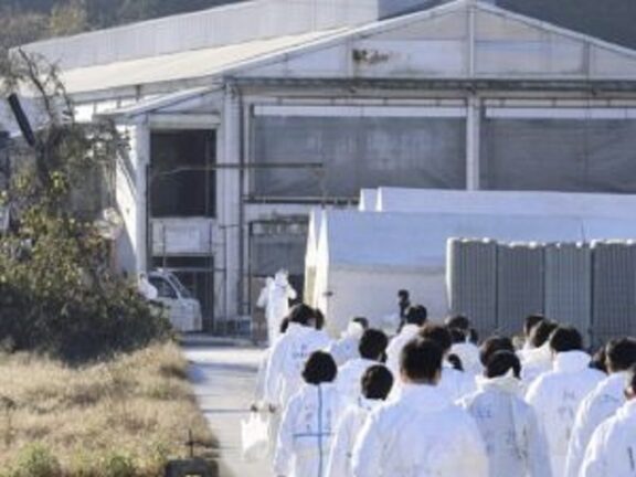 Giappone è allarme per l’influenza aviaria, allevamenti distrutti