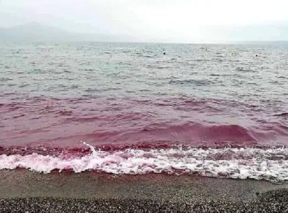 Acqua rossa nel Lago di Bracciano è allarme nel comune Laziale