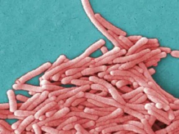 Busto Arsizio: torna la paura, registrati due nuovi casi di legionella