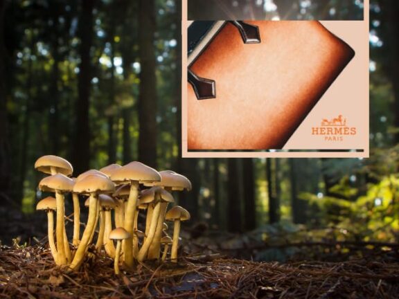 Hermes: nasce “Victoria” la prima borsa di funghi