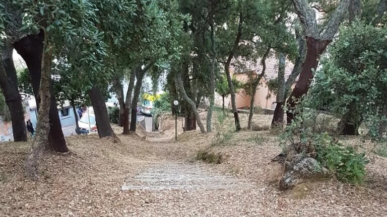 Ragazzino di 14 anni muore dopo una caduta dalla bici