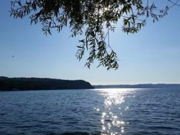 23enne va a fare una nuotata nel lago di Bracciano e scompare