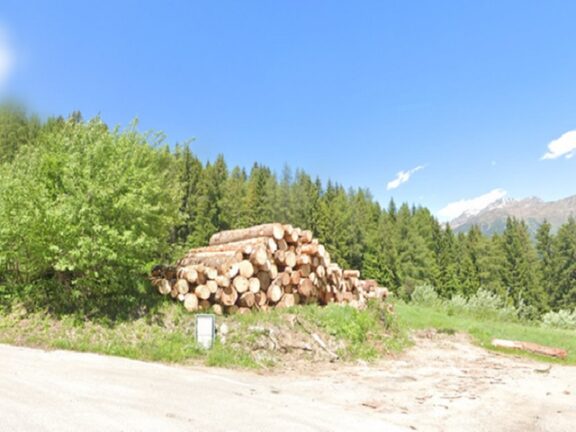 Colpito da un tronco, muore operaio comunale 57enne