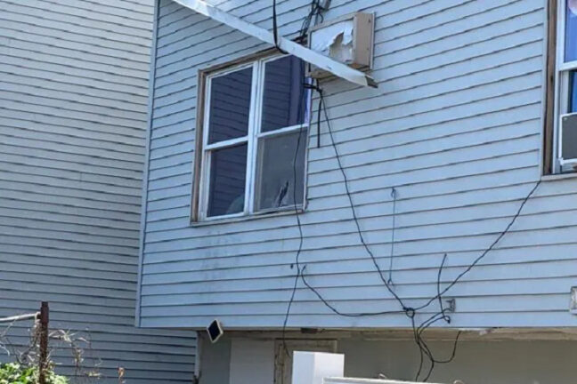 Bimbo di 3 anni cade dalla finestra di casa: sbranato da due cani