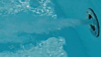 Tolentino: trovata morta nella piscina di casa, ipotesi malore per una 69enne