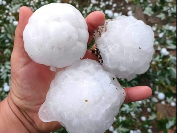 Friuli: grandinata, vetri in frantumi e tetti bucati