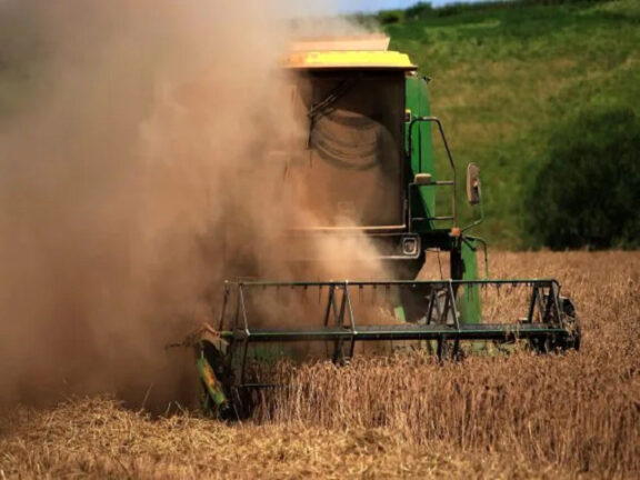 Agricoltore decapitato dalle lame di una trebbiatrice