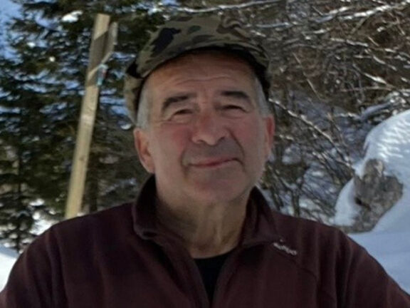 Muore schiacciato da un albero mentre cerca i funghi