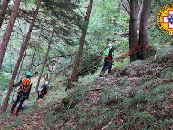 Uomo va a cercare funghi e scompare: trovato morto