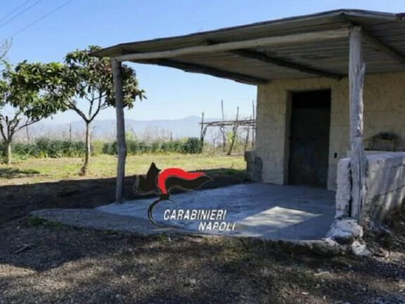 Brucia vivo il fratello per riscuotere l’assicurazione