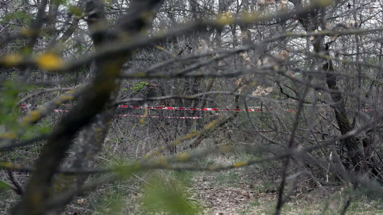 Cadavere decapitato trovato in un campo