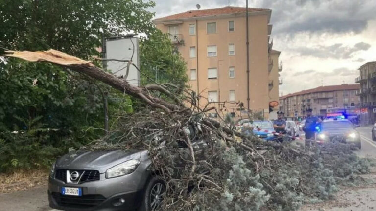 Lombardia: cadono alberi e case scoperchiate