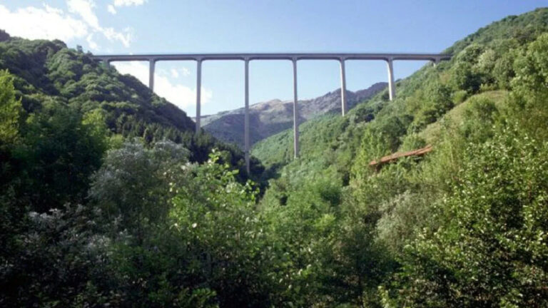 Ammazza la mamma e poi si suicida