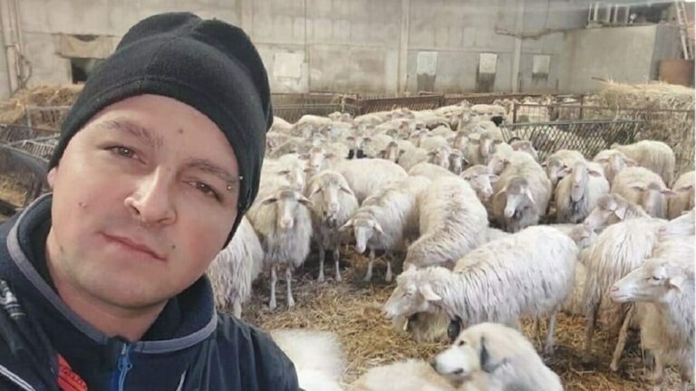 Incidente stradale: auto contromano, muore 28enne