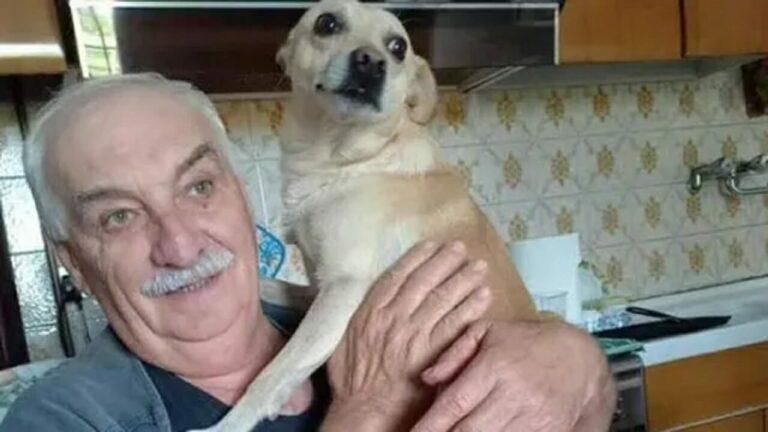 Malore in auto, si schianta e muore