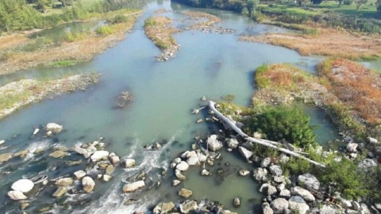Bologna: Studente in ritardo con gli esami si suicida