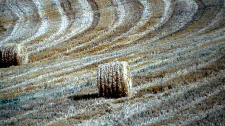Licata, muore schiacciato da balla fieno
