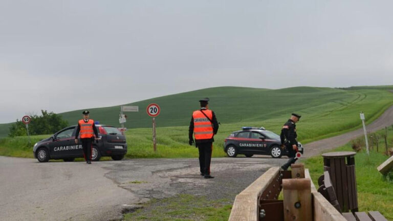 Lunamatrona: strage di pecore