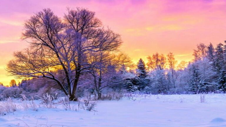 Oggi il giorno più corto dell’anno che introduce l’inverno